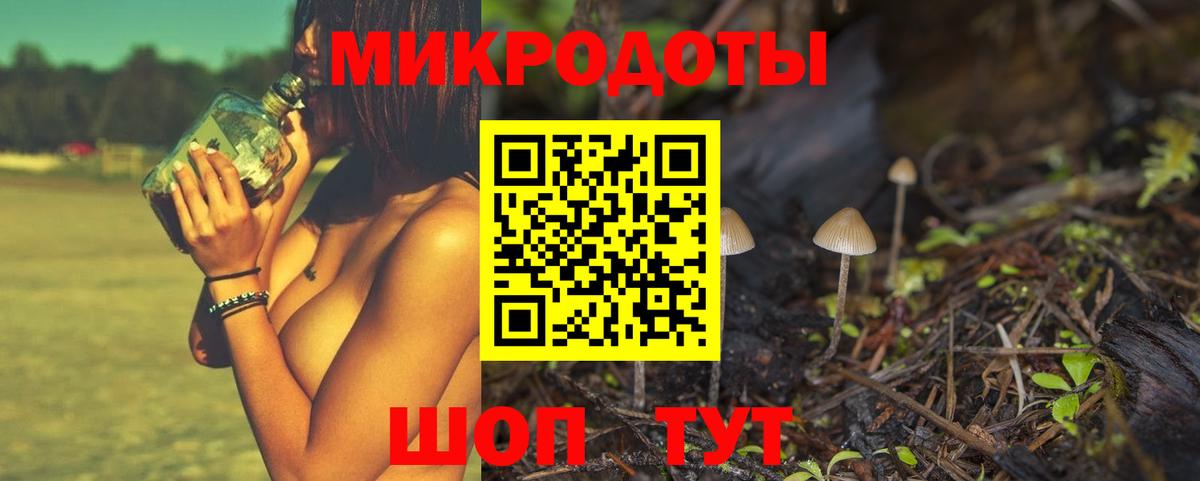 Галлюциногенные грибы Magic Shrooms Кисловодск